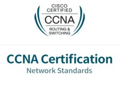 CCNA 자격증
